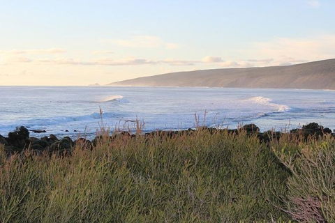 Margaret River Indulge And Discover Day Tour - Kalgoorlie Accommodation 1