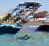 Mandurah Dolphin and Scenic Marine Cruise - Kalgoorlie Accommodation