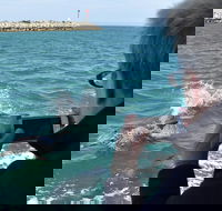 Mandurah Dolphin Island Adventure - Kalgoorlie Accommodation