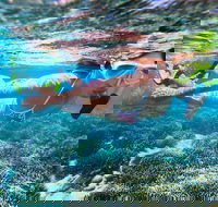 Abrolhos Islands Scenic Flight  Snorkel Adventure from Perth - Kalgoorlie Accommodation