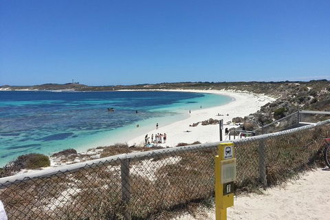 Fly To Rottnest Island By Plane - Kalgoorlie Accommodation 4