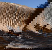 Wave Rock Pinnacles and Rottnest One Day Aeroplane Tour - Kalgoorlie Accommodation