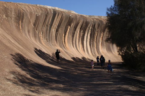 Wave Rock, Pinnacles And Rottnest One Day Aeroplane Tour - Kalgoorlie Accommodation 0