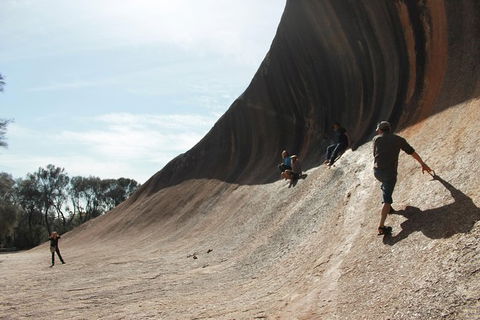 Wave Rock, Pinnacles And Rottnest One Day Aeroplane Tour - Kalgoorlie Accommodation 5
