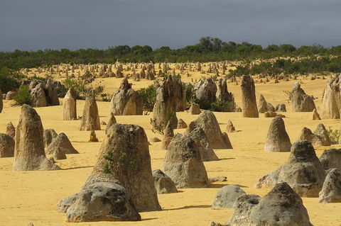 Wave Rock, Pinnacles And Rottnest One Day Aeroplane Tour - Kalgoorlie Accommodation 4
