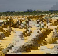 Pinnacles Desert Scenic Flight and Ground Tour - Kalgoorlie Accommodation