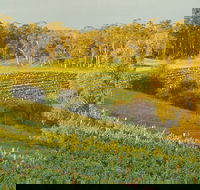 Swan Valley Private Tour - Kalgoorlie Accommodation
