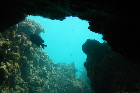 Half-Day Abrolhos Islands Shipwreck Air And Land Tour From Geraldton - Kalgoorlie Accommodation 0