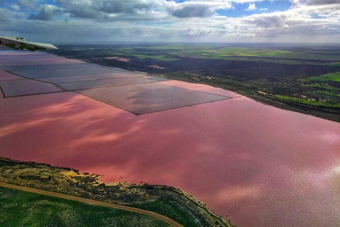 Kalbarri, Pink Lake And Abrolhos Islands Nature Tour - Kalgoorlie Accommodation 3