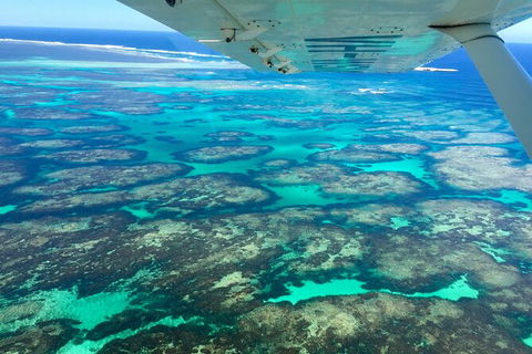 Kalbarri, Pink Lake And Abrolhos Islands Nature Tour - Kalgoorlie Accommodation 5