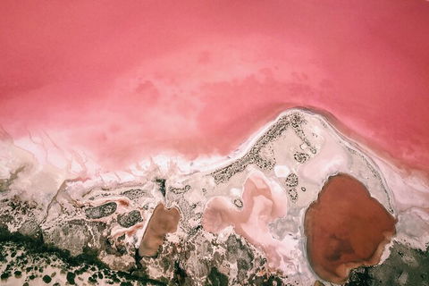 Kalbarri, Pink Lake And Abrolhos Islands Nature Tour - Kalgoorlie Accommodation 6