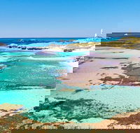 Rottnest Island Bayseeker Day Trip from Fremantle - Kalgoorlie Accommodation