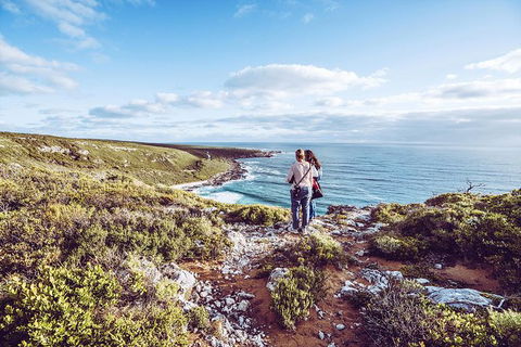 Guided Walks On The Cape To Cape - Wilyabrup Cliffs - Kalgoorlie Accommodation 1