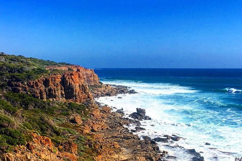 Guided Walks On The Cape To Cape - Wilyabrup Cliffs - Kalgoorlie Accommodation 2