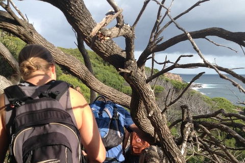 Guided Walks On The Cape To Cape - Wilyabrup Cliffs - Kalgoorlie Accommodation 6