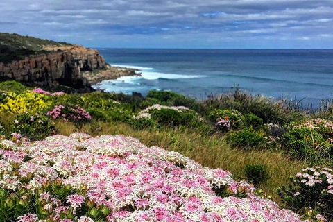 Guided Walks On The Cape To Cape - Wilyabrup Cliffs - Kalgoorlie Accommodation 3