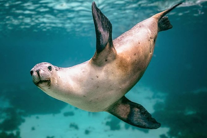 Fremantle WA Kalgoorlie Accommodation