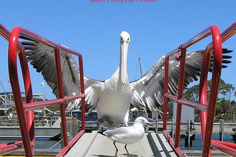 Kalgan Queen Scenic Cruises A Four Hour Sheltered Water Wildlife Tour Daily Fun. - Kalgoorlie Accommodation 1
