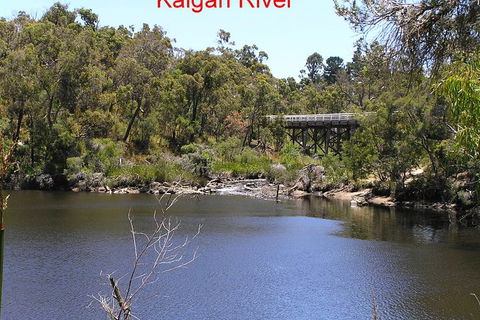 Kalgan Queen Scenic Cruises A Four Hour Sheltered Water Wildlife Tour Daily Fun. - Kalgoorlie Accommodation 3