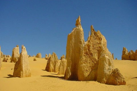 Half Day Pinnacles Sunset Tour - Kalgoorlie Accommodation 5