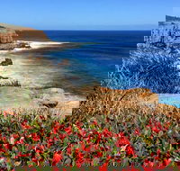 Cape to Cape End-to-End 8 Day Walking Experience - Kalgoorlie Accommodation