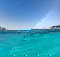 Rottnest Island Settlement Explorer Segway Package from Fremantle - Kalgoorlie Accommodation