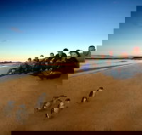 Phillip Island Ultimate Penguin Eco Tour or Skybox Experience - Kalgoorlie Accommodation