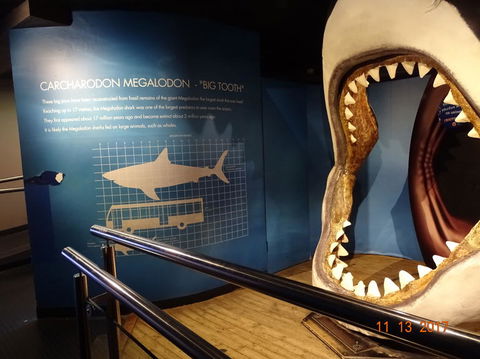 SEA LIFE Melbourne Aquarium Admission Ticket - Kalgoorlie Accommodation 10