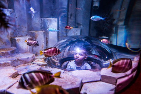 SEA LIFE Melbourne Aquarium Admission Ticket - Kalgoorlie Accommodation 0