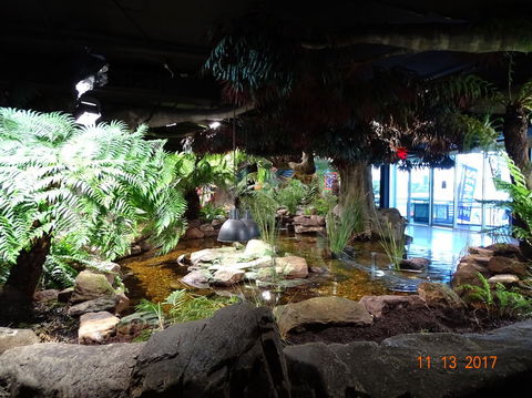 SEA LIFE Melbourne Aquarium Admission Ticket - Kalgoorlie Accommodation 2