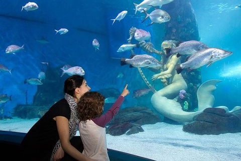 SEA LIFE Melbourne Aquarium Admission Ticket - Kalgoorlie Accommodation 14
