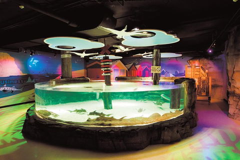 SEA LIFE Melbourne Aquarium Admission Ticket - Kalgoorlie Accommodation 27