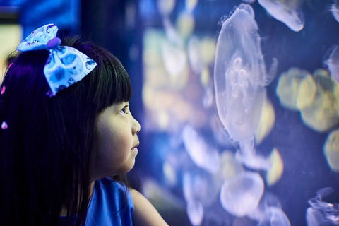 SEA LIFE Melbourne Aquarium Admission Ticket - Kalgoorlie Accommodation 17