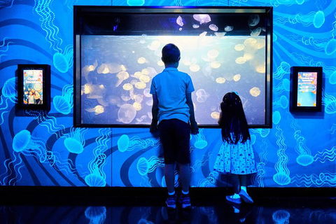 SEA LIFE Melbourne Aquarium Admission Ticket - Kalgoorlie Accommodation 18