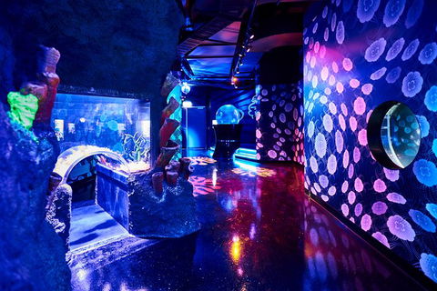 SEA LIFE Melbourne Aquarium Admission Ticket - Kalgoorlie Accommodation 13