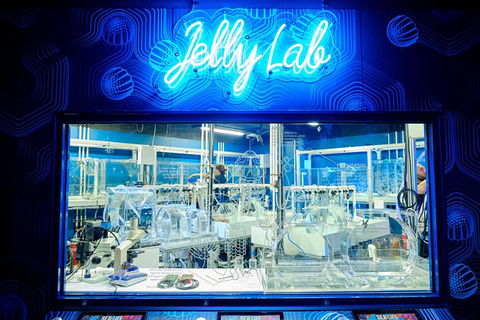 SEA LIFE Melbourne Aquarium Admission Ticket - Kalgoorlie Accommodation 24