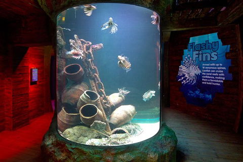 SEA LIFE Melbourne Aquarium Admission Ticket - Kalgoorlie Accommodation 23