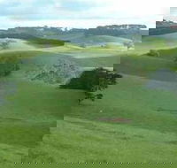 Day Tour of Phillip Island  Surrounding Region - Kalgoorlie Accommodation