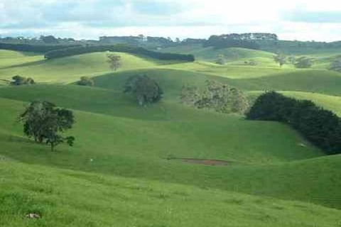 Day Tour Of Phillip Island & Surrounding Region - Kalgoorlie Accommodation 0