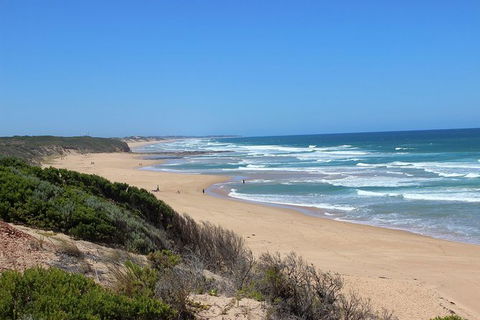 Day Tour Of Phillip Island & Surrounding Region - Kalgoorlie Accommodation 1