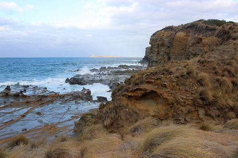 Day Tour Of Phillip Island & Surrounding Region - Kalgoorlie Accommodation 11