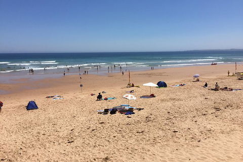 Day Tour Of Phillip Island & Surrounding Region - Kalgoorlie Accommodation 7