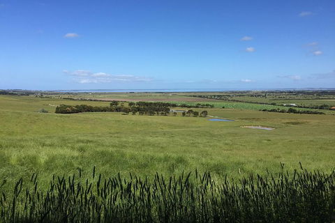 Day Tour Of Phillip Island & Surrounding Region - Kalgoorlie Accommodation 4