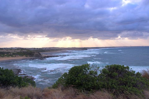 Day Tour Of Phillip Island & Surrounding Region - Kalgoorlie Accommodation 12