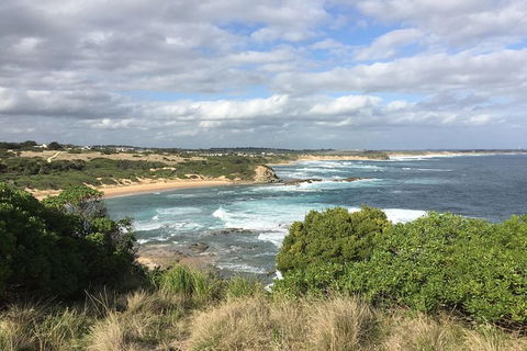 Day Tour Of Phillip Island & Surrounding Region - Kalgoorlie Accommodation 10
