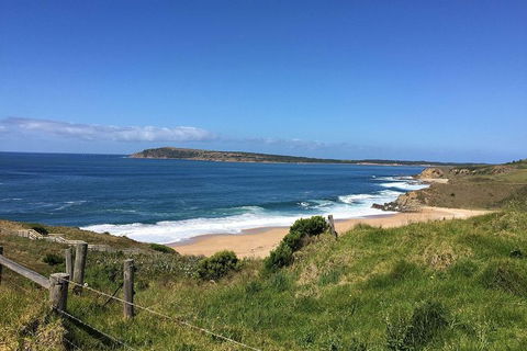 Day Tour Of Phillip Island & Surrounding Region - Kalgoorlie Accommodation 5