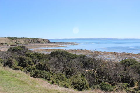 Day Tour Of Phillip Island & Surrounding Region - Kalgoorlie Accommodation 2