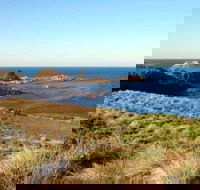 Phillip Island Walking  Bird Watching Tour - Kalgoorlie Accommodation