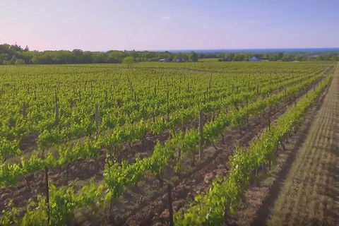 Macedon Ranges Small Group Wine Tour With 2 Course Lunch And Morning Tea - Kalgoorlie Accommodation 5