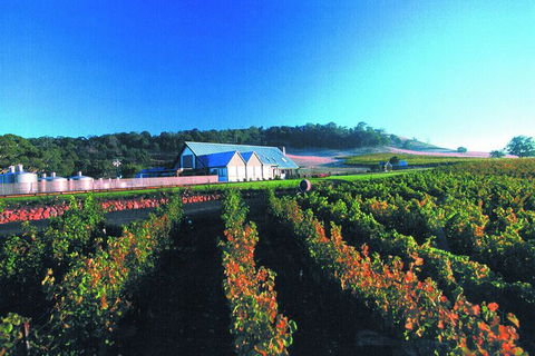 Macedon Ranges Small Group Wine Tour With 2 Course Lunch And Morning Tea - Kalgoorlie Accommodation 4
